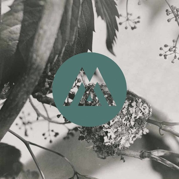 Cover of Artificial Heart by Soma Sema