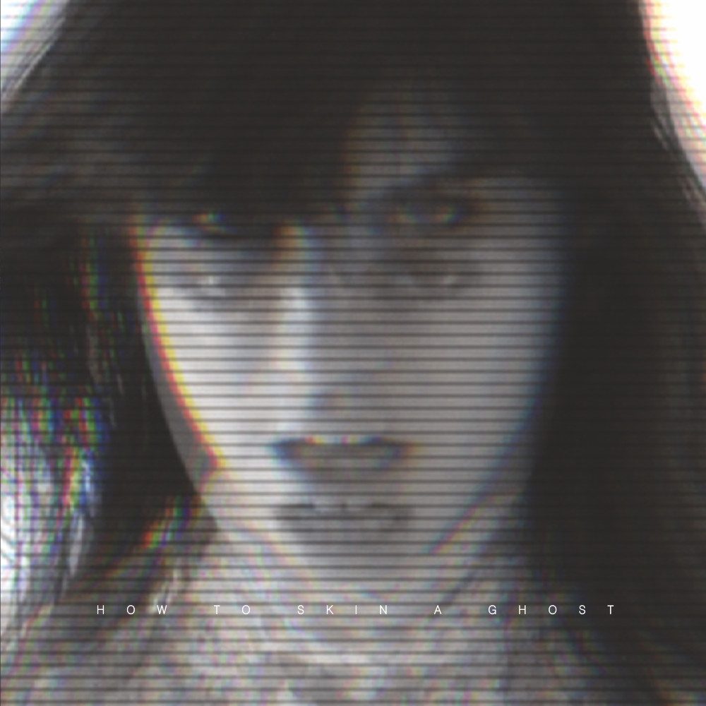Cover of How To Skin A Ghost by Gypsy Death Star