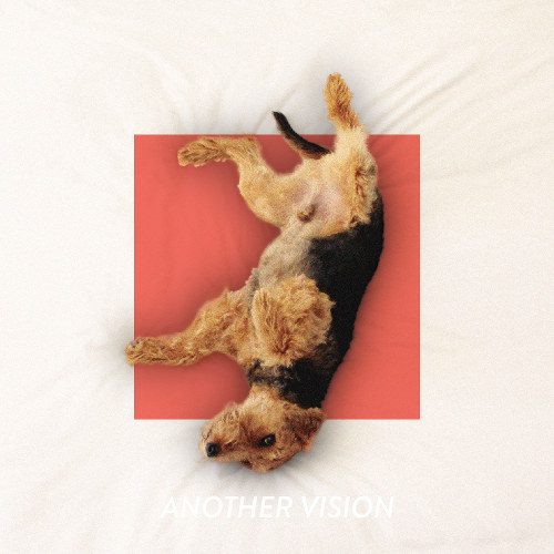 Cover of Off The Leash by Another Vision