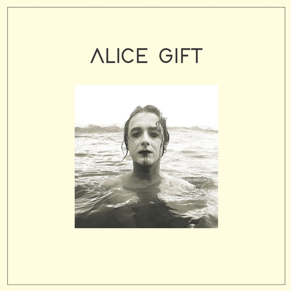 Cover of Alles ist Gift by Alice Gift
