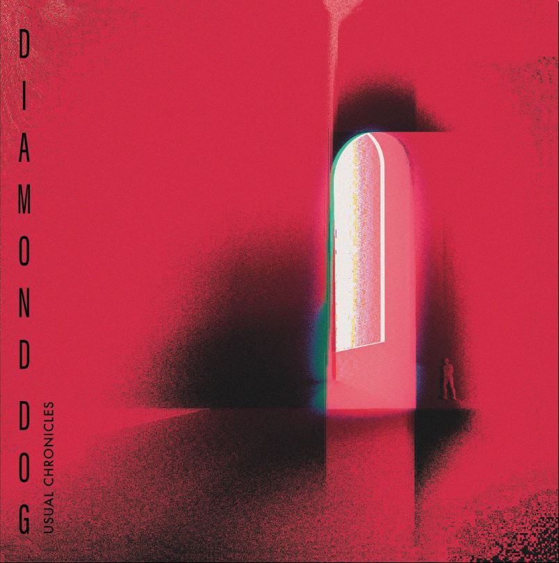 Cover of Usual Chronicles by Diamond Dog