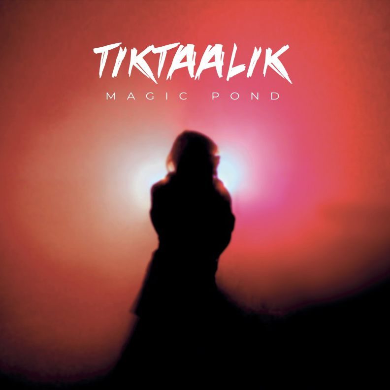 Cover of Magic Pond by Tiktaalik